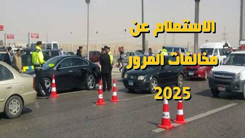 مخالفات المرور
