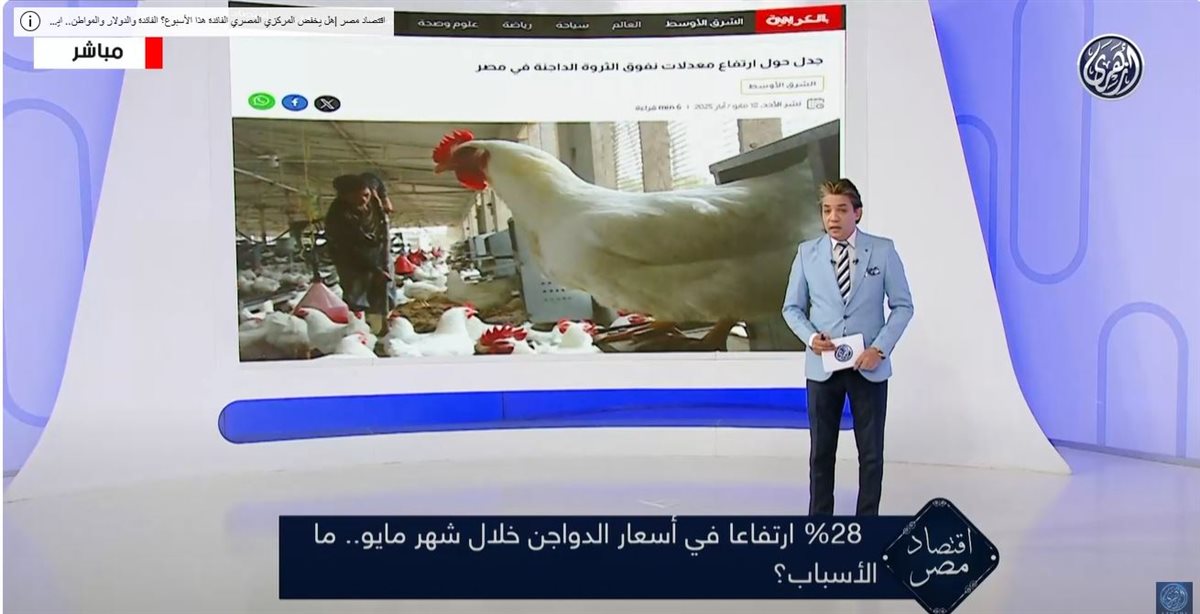 <strong>ارتفاع سعر الدواجن </strong>