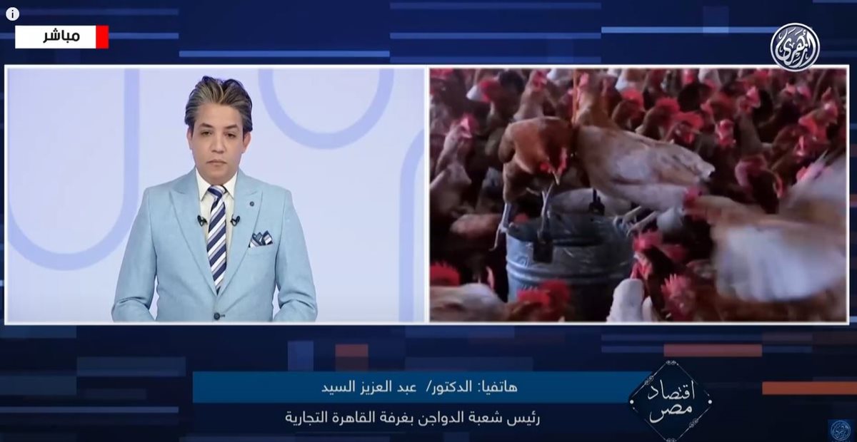 <strong>الدكتور عبد العزيز السيد</strong>