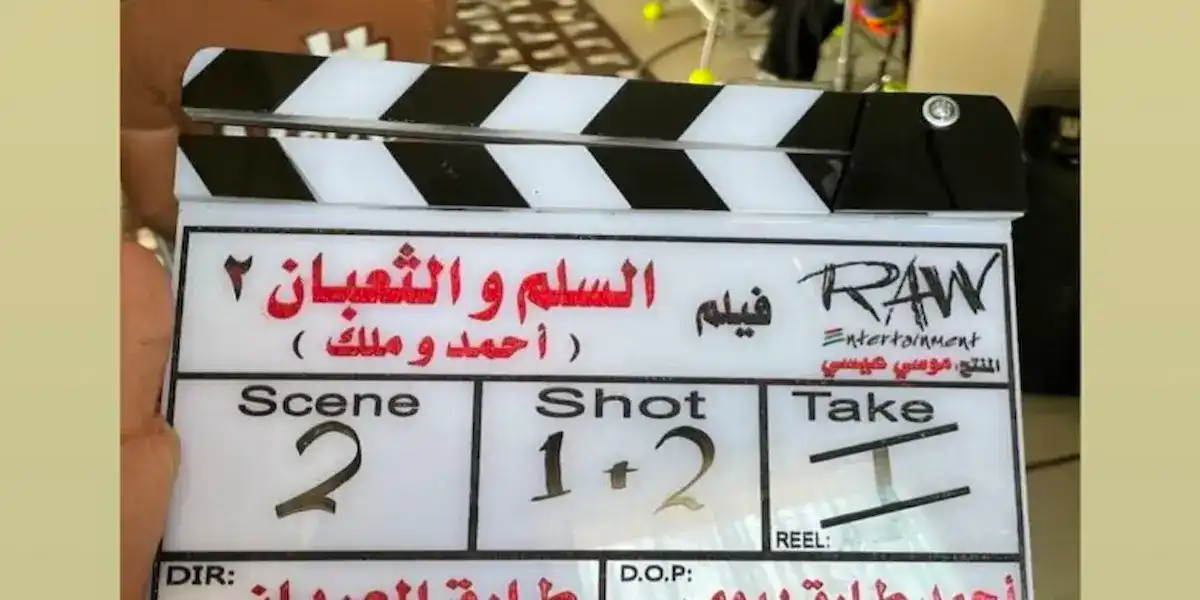 السلم والثعبان