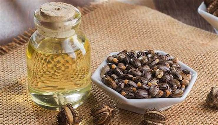 زيت خروع