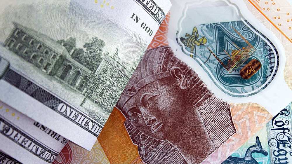 <strong>سعر الدولار اليوم</strong>
