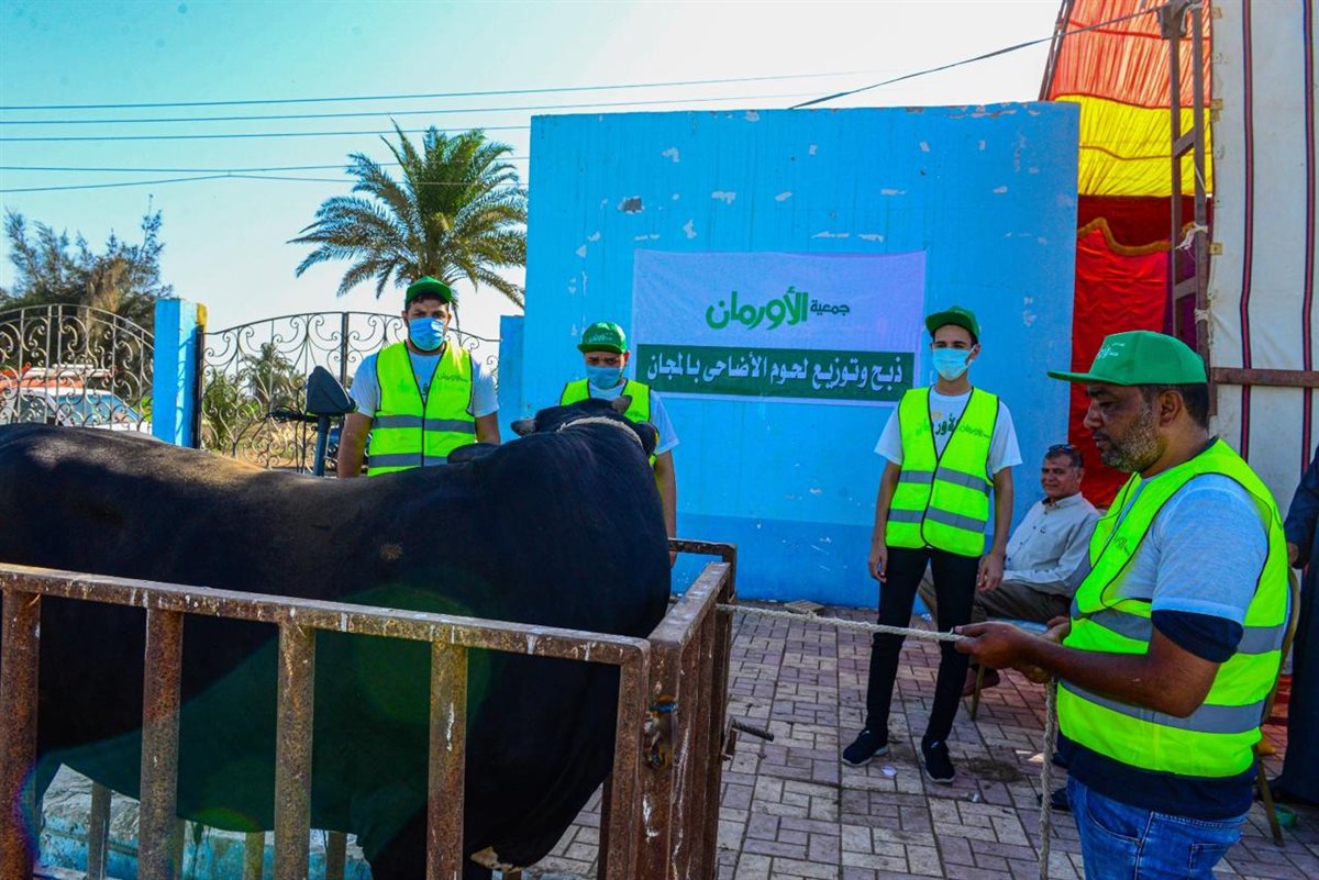 الأورمان بالفيوم ترفع درجة الأستعداد لأستقبال عيد الأضحى..ذبح الأضاحي بالمجان