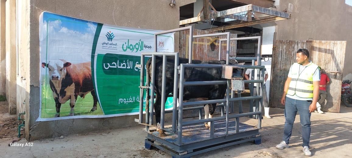 الأورمان بالفيوم ترفع درجة الأستعداد لأستقبال عيد الأضحى..ذبح الأضاحي بالمجان