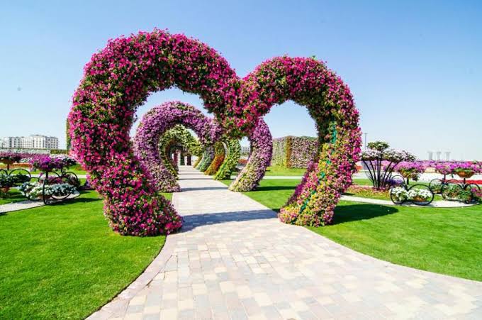 خروجات العيد
