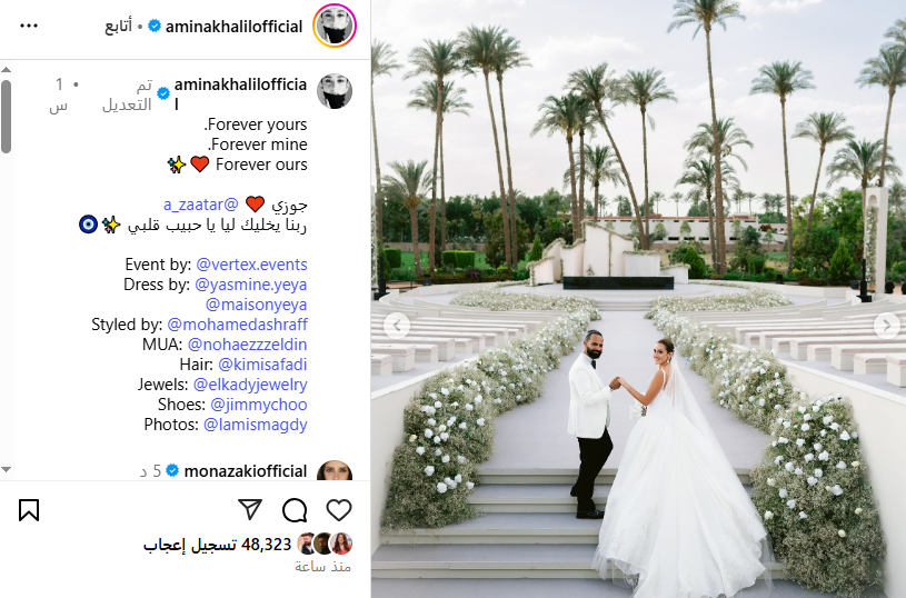 حفل زفاف الفنانة أمينة خليل