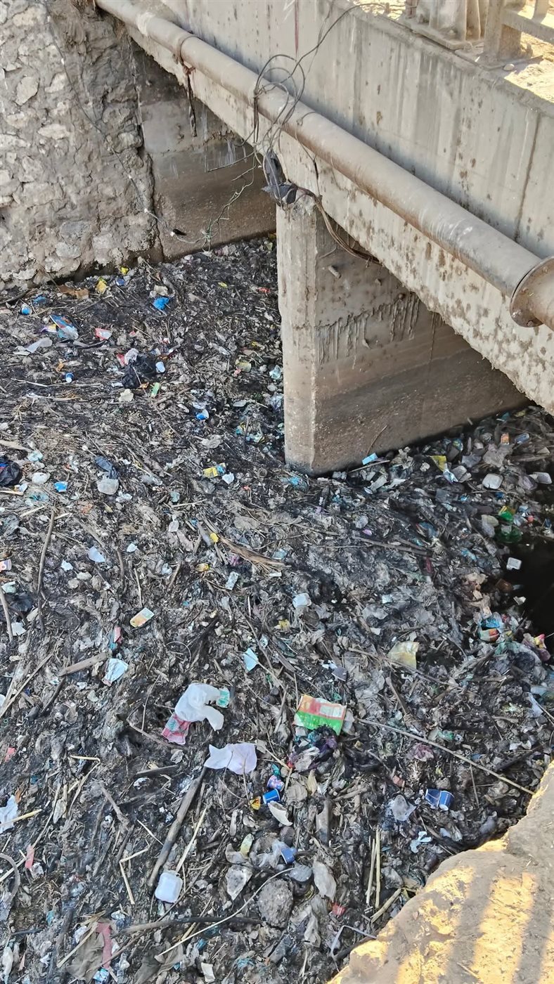 صوة من جفاف الاراضي في المنيا من قلة المياة