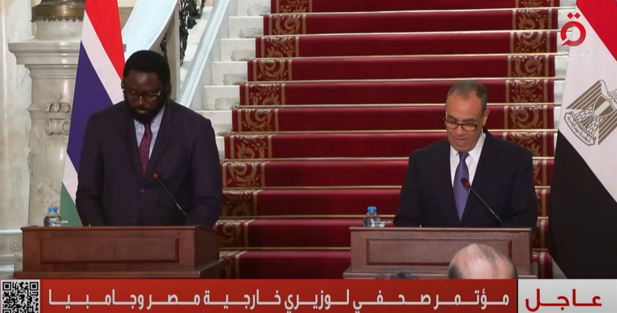 وزيرا خارجية مصر وجاميكا
