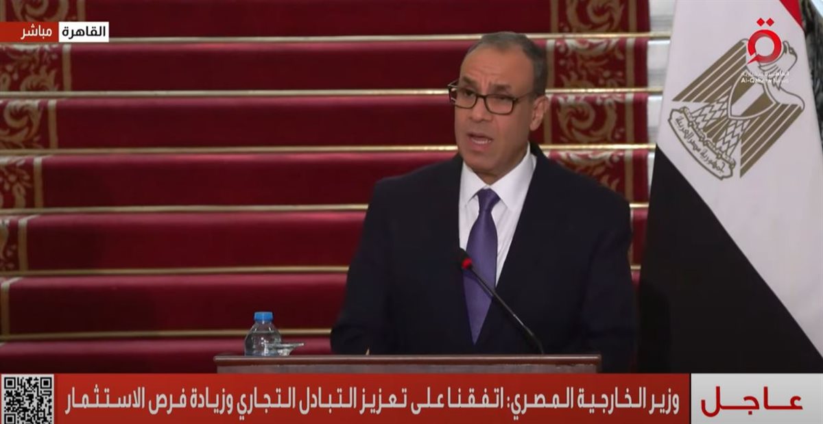 وزير الخارجية بدر عبد العاطي