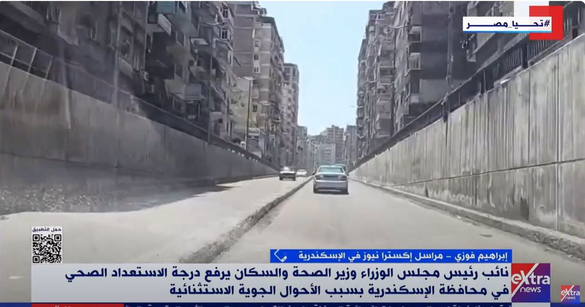 محمود فوزي