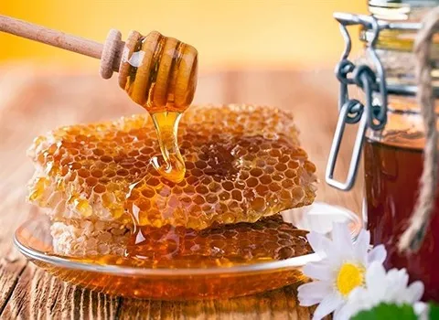 العسل النحل