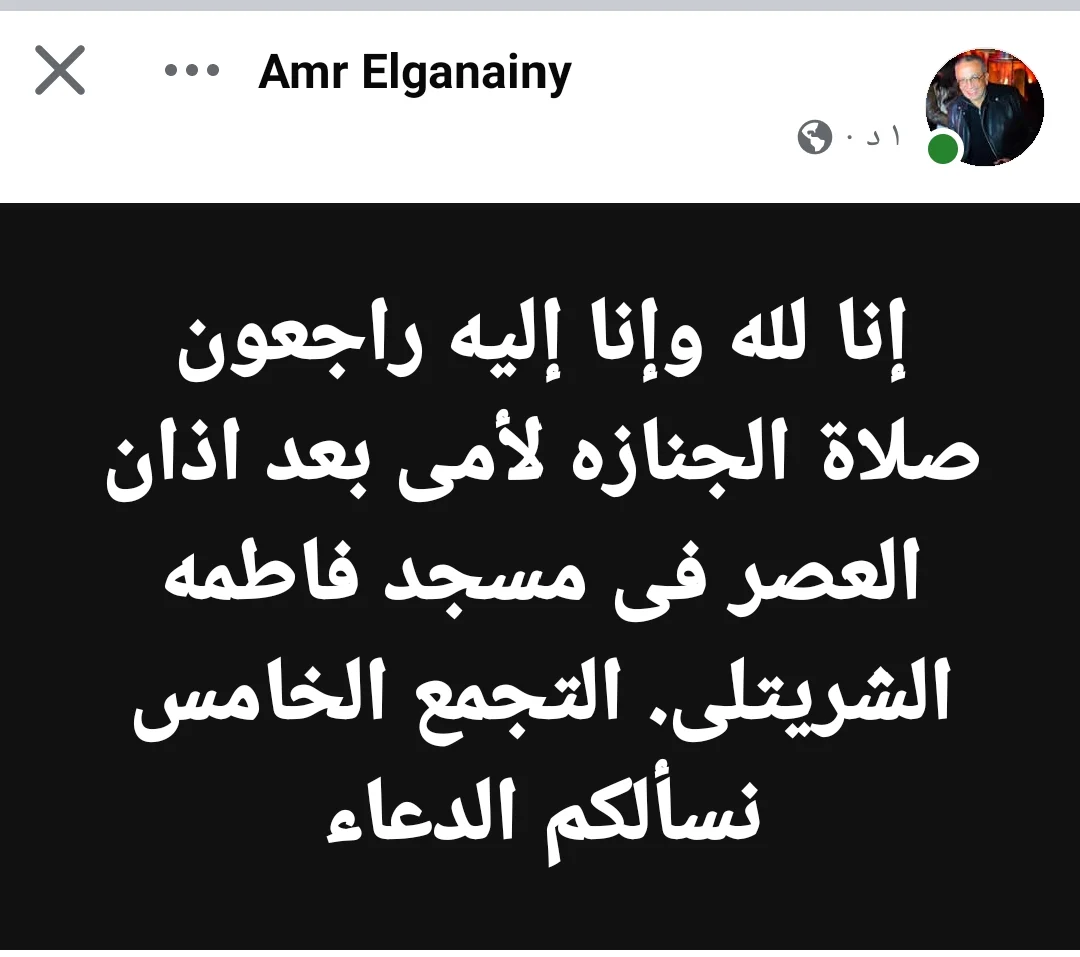 عمرو الجنايني 