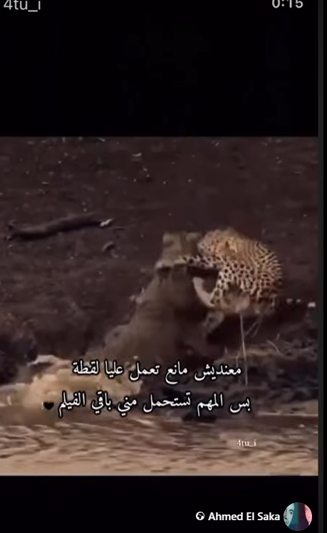 ستوري أحمد السقا