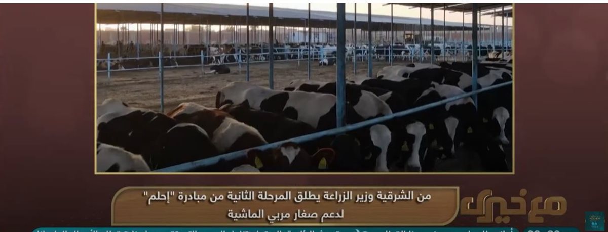 مشروع العجول