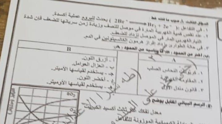 تسريب امتحان الشهادة الإعدادية
