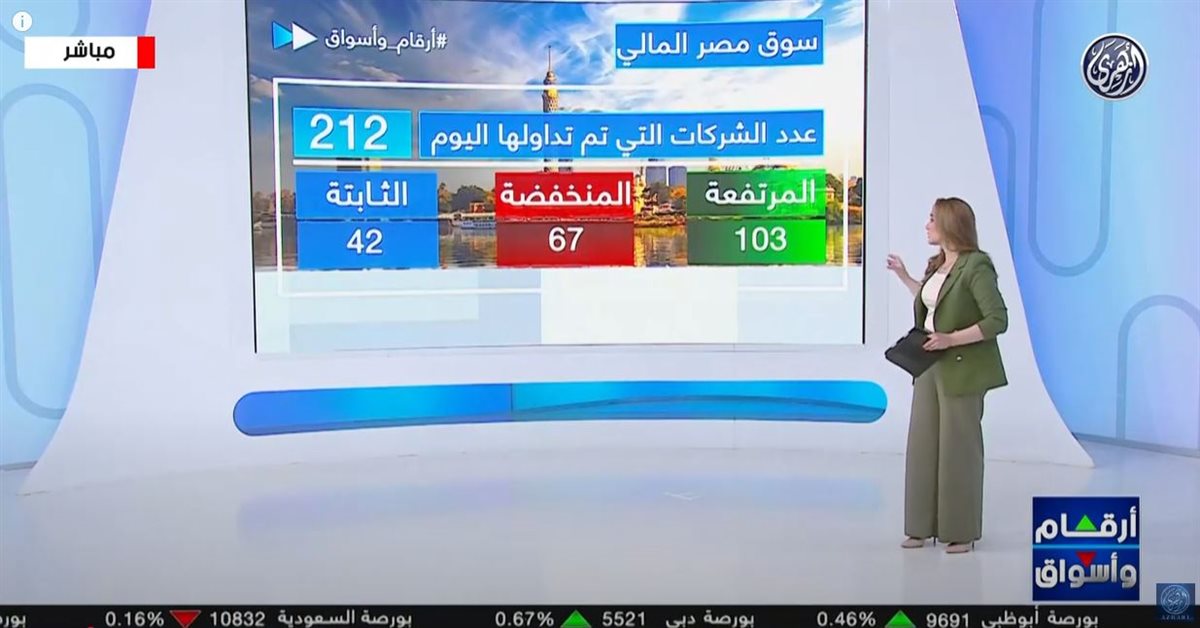 الاستثمار في مصر