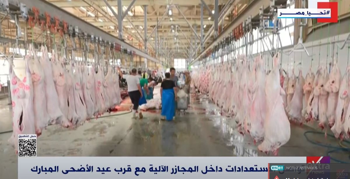 موسم الأضاحي