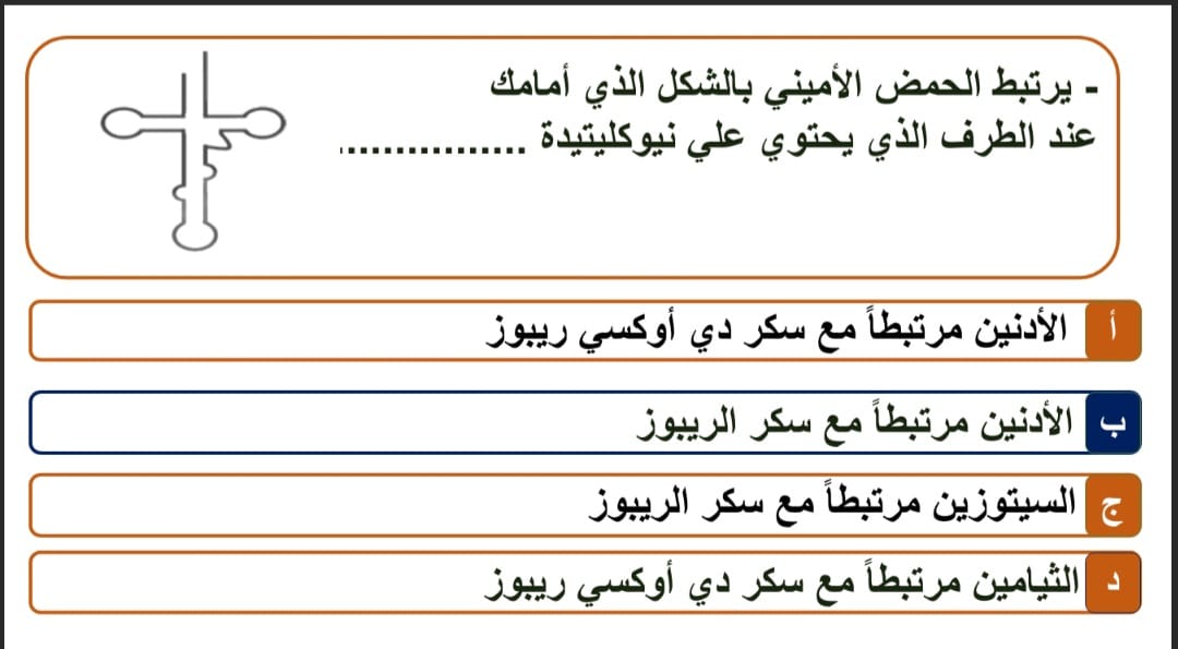 <strong>أسئلة متوقعة في الأحياء لطلاب الثانوية العامة 2025</strong>