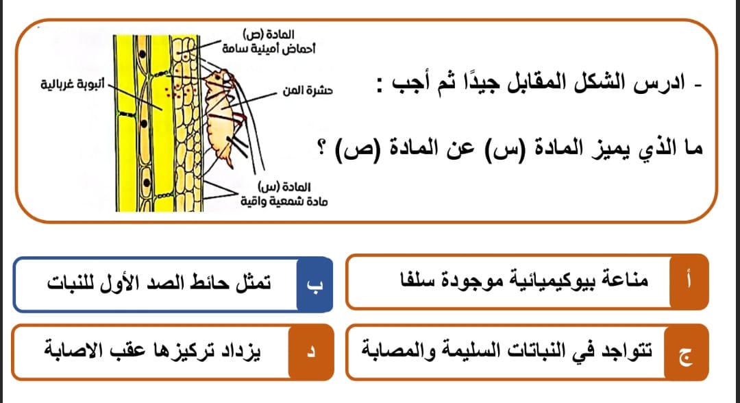 <strong>أسئلة متوقعة في الأحياء لطلاب الثانوية العامة 2025</strong>