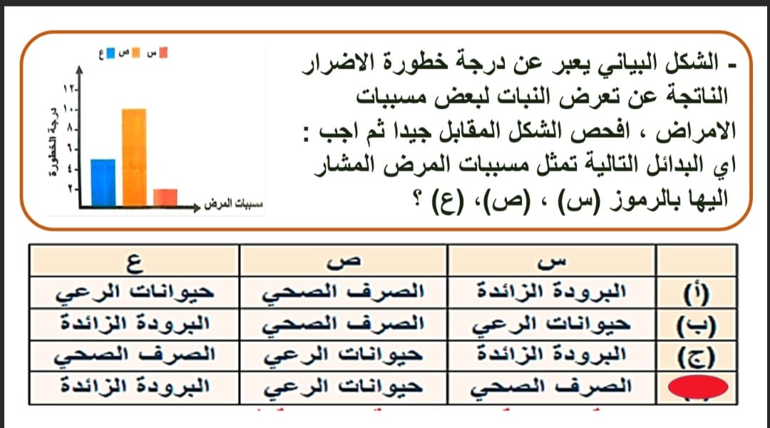<strong>أسئلة متوقعة في الأحياء لطلاب الثانوية العامة 2025</strong>