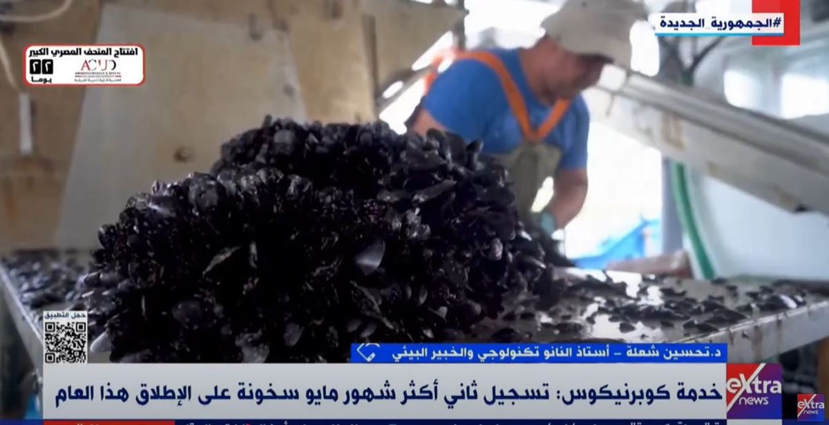 ذوبان مايو