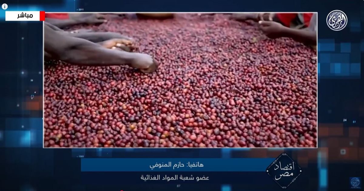 حازم المنوفي