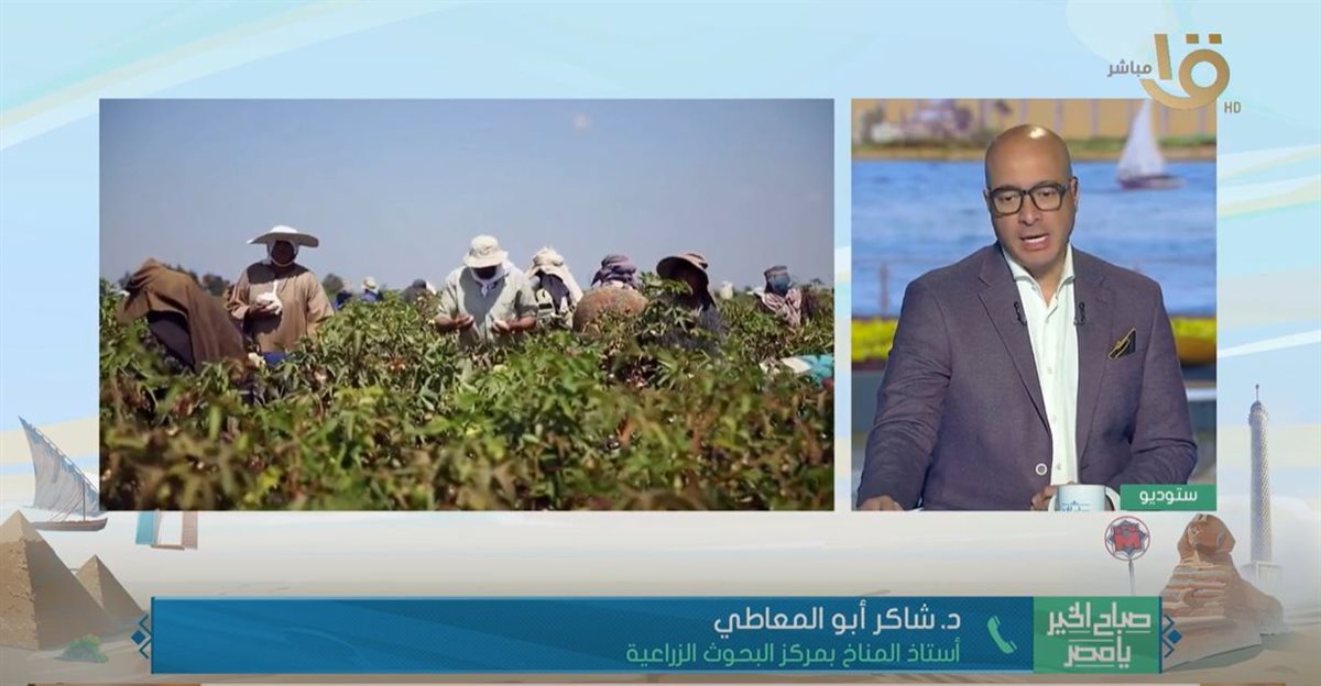 الدكتور شاكر أبو العاطي