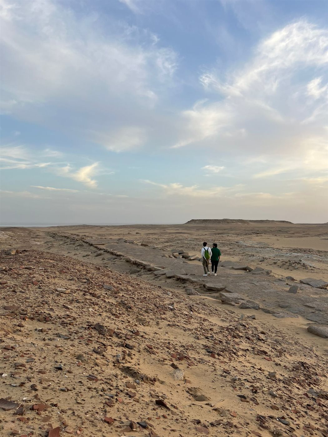 27 سبتمبر : أفتتاح معرض اثار ديميه السباع فى المتحف المصرى