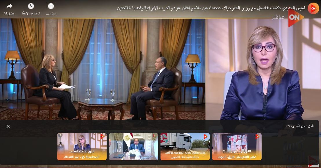 <strong>لقاء لميس الحديدي ووزير الخارجية</strong>