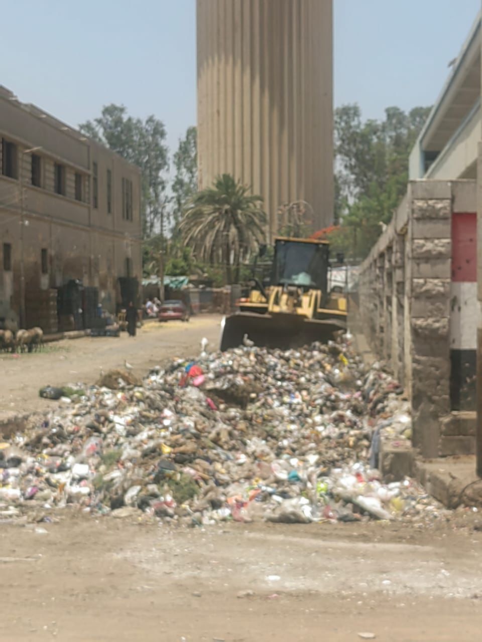 إستبدال نقاط تجميع القمامة بأحواض من الزهور والأشجار بحي غرب الفيوم