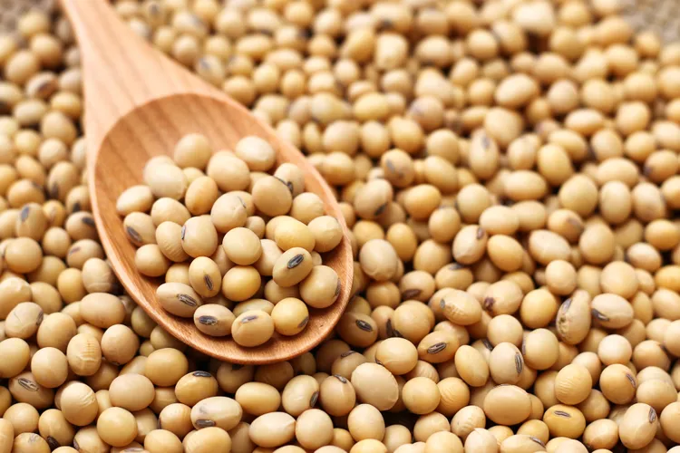4 أطعمة نباتية تمنحك أوميغا 3 أكثر من الأسماك!..منها الجوز