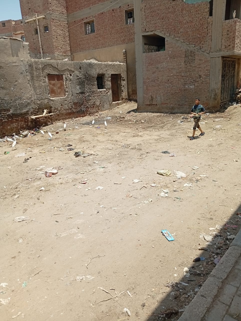 رئيس مدينة طامية يتابع حملة نظافة موسعة لرفع كفاءة الشوارع والميادين الحيوية