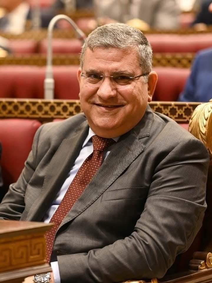 حاتم علوى المليجى