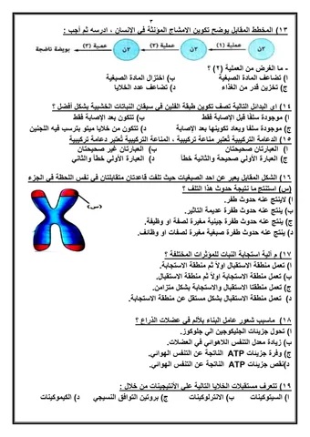 <strong>مراجعة نهائية في الأحياء للثانوية العامة 2025</strong>