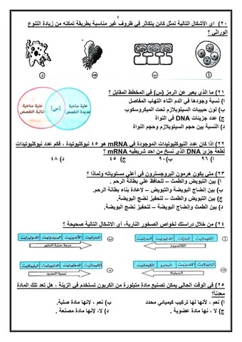 <strong>مراجعة نهائية في الأحياء للثانوية العامة 2025</strong>