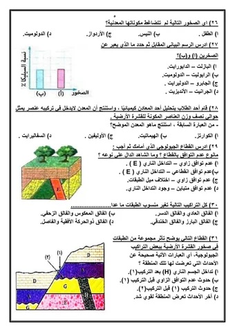 <strong>مراجعة نهائية في الأحياء للثانوية العامة 2025</strong>