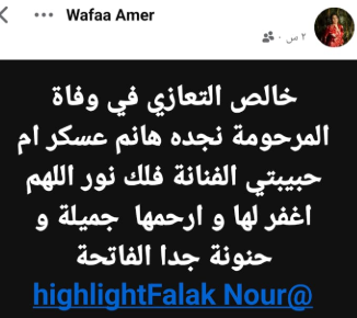 منشور وفاء عامر