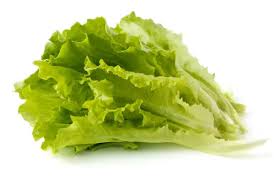 <strong>خس</strong>