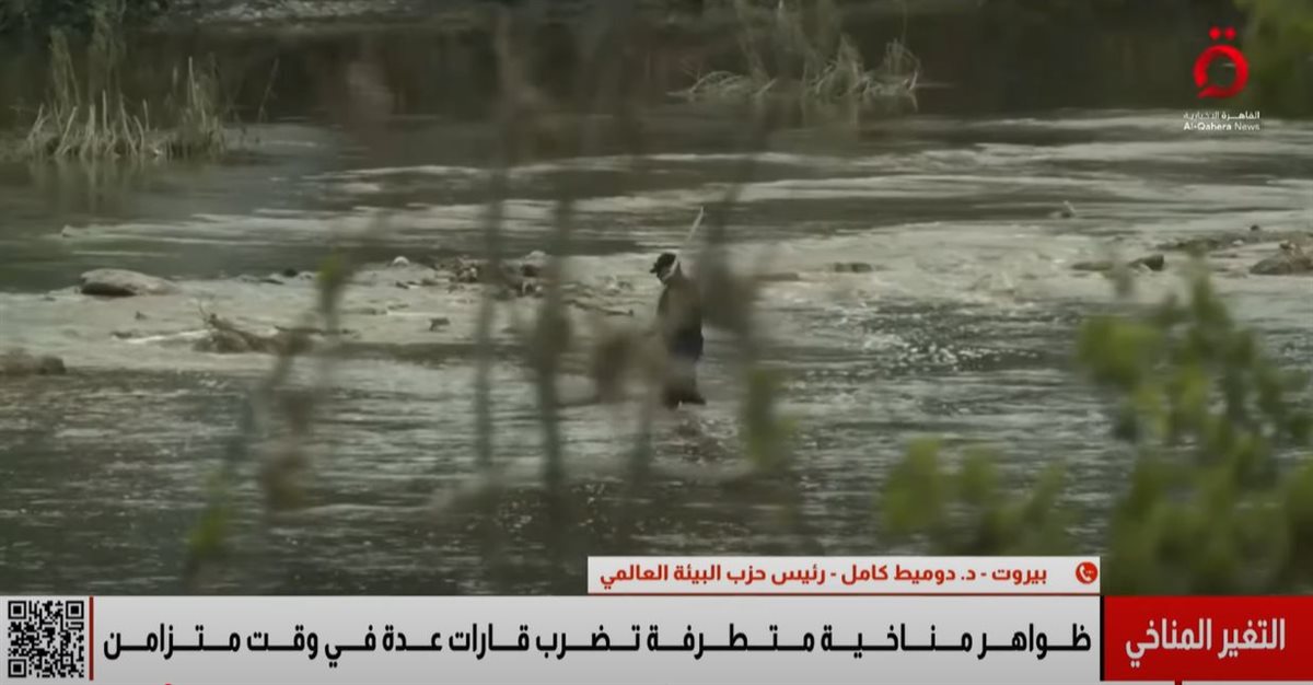 الدكتور دوميط كامل