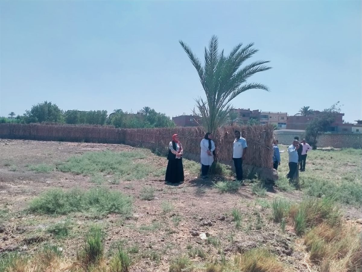 رئيس مركز ابشواى : 24 حالة إزالة فورية لتعديات بناء في المهد