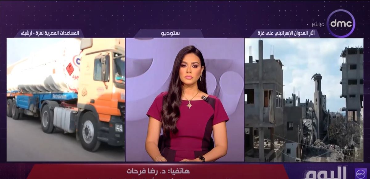 الدكتور رضا فرحات