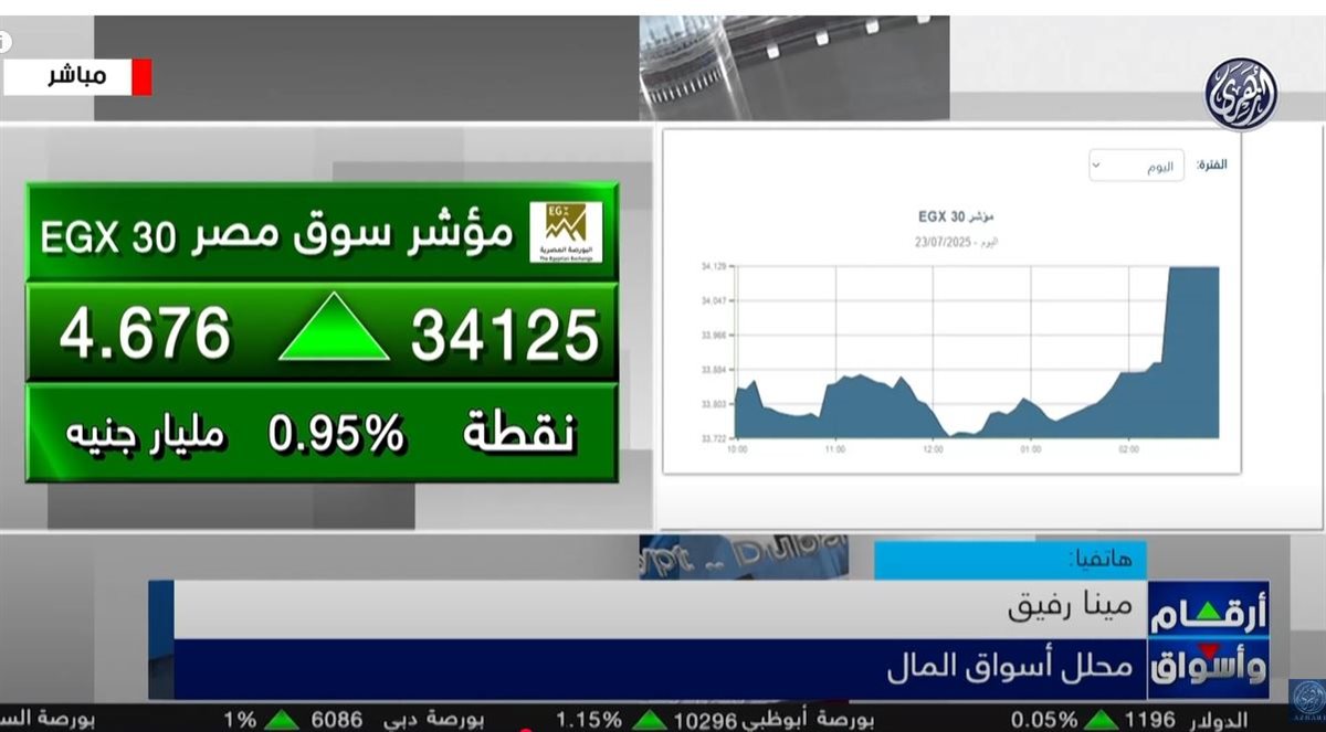 مينا رفيق