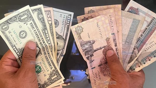 سعر الدولار اليوم