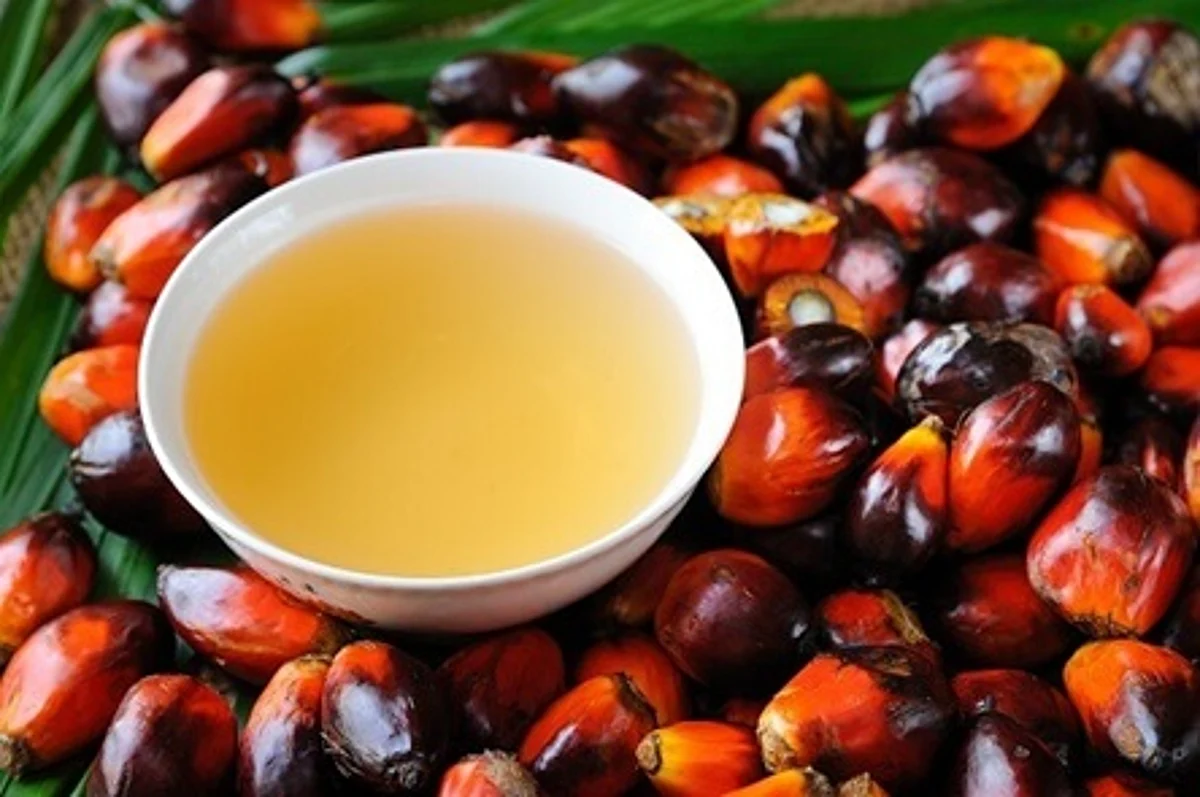 <strong>زيت نخيل </strong>
