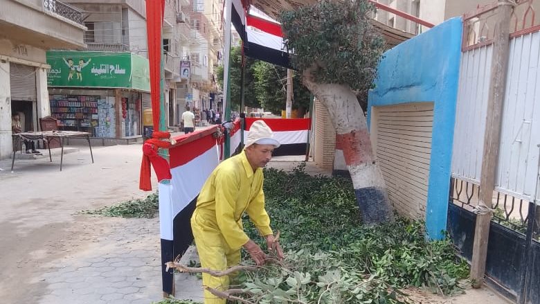 انتخابات مجلس الشيوخ