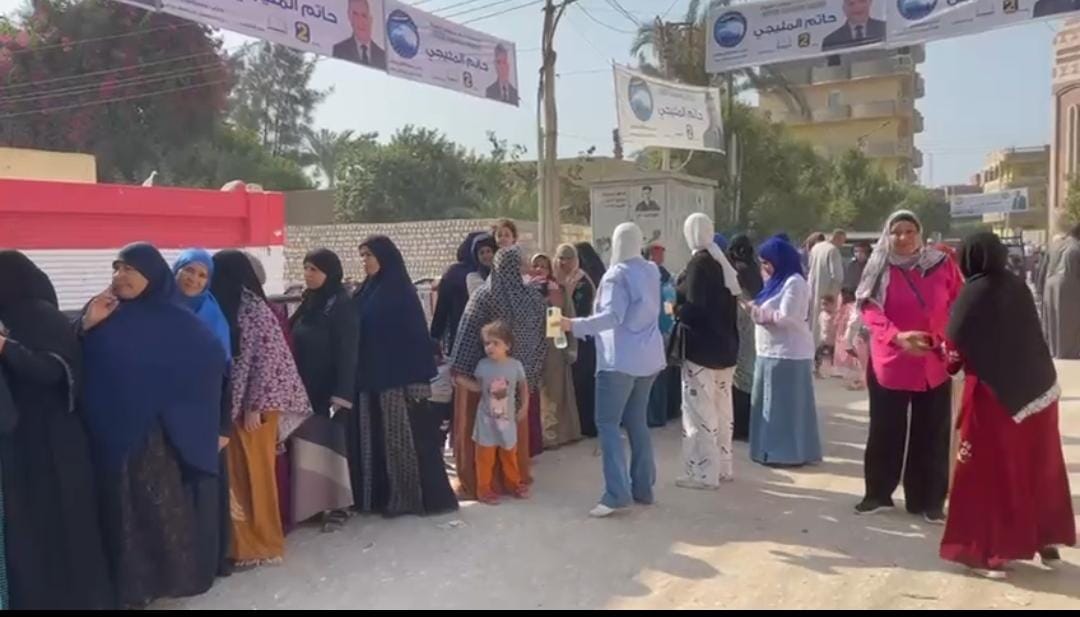 انتخابات مجلس الشيوخ 2025