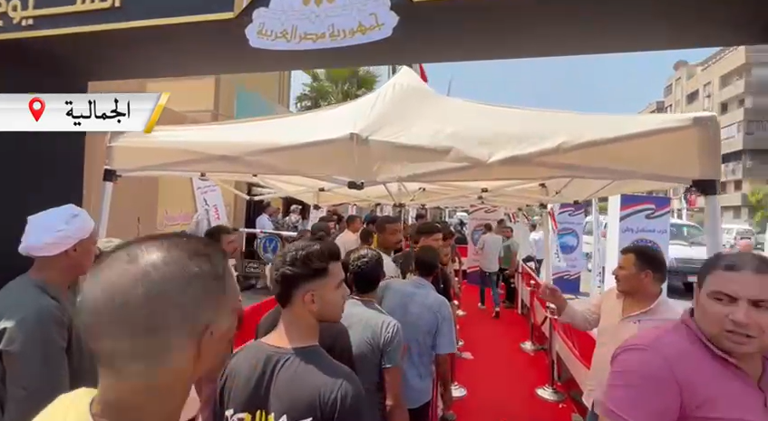 انتخابات مجلس الشيوخ 