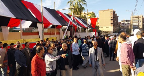انتخابات مجلس الشيوخ 
