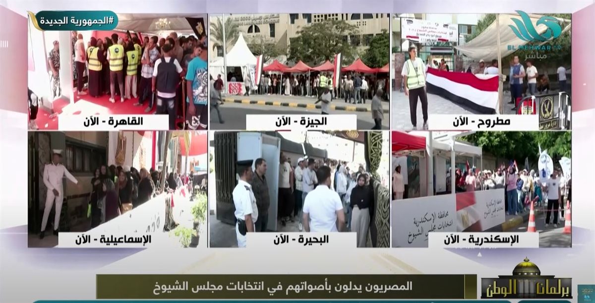 الدكتور مختار غباشي