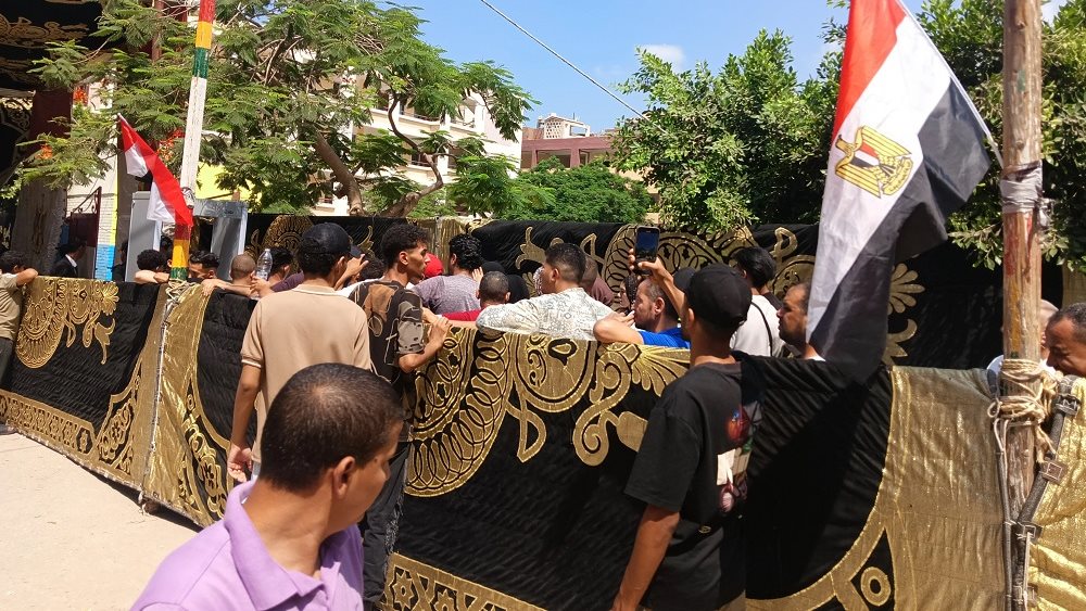 انتخابات مجلس الشيوخ 